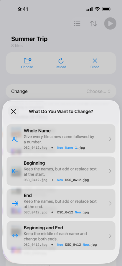NameSake's “What Do You Want to Change?” sheet on iPhone, showing Whole Name, Beginning, End, and Beginning and End options.